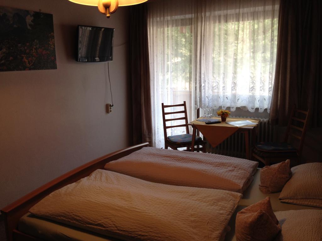 Gasthaus Pension Sternknockel Bodenmais Bilik gambar